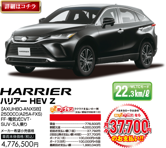 トヨタカローラ大分