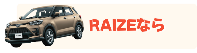 RAIZE
