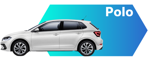 Car_polo