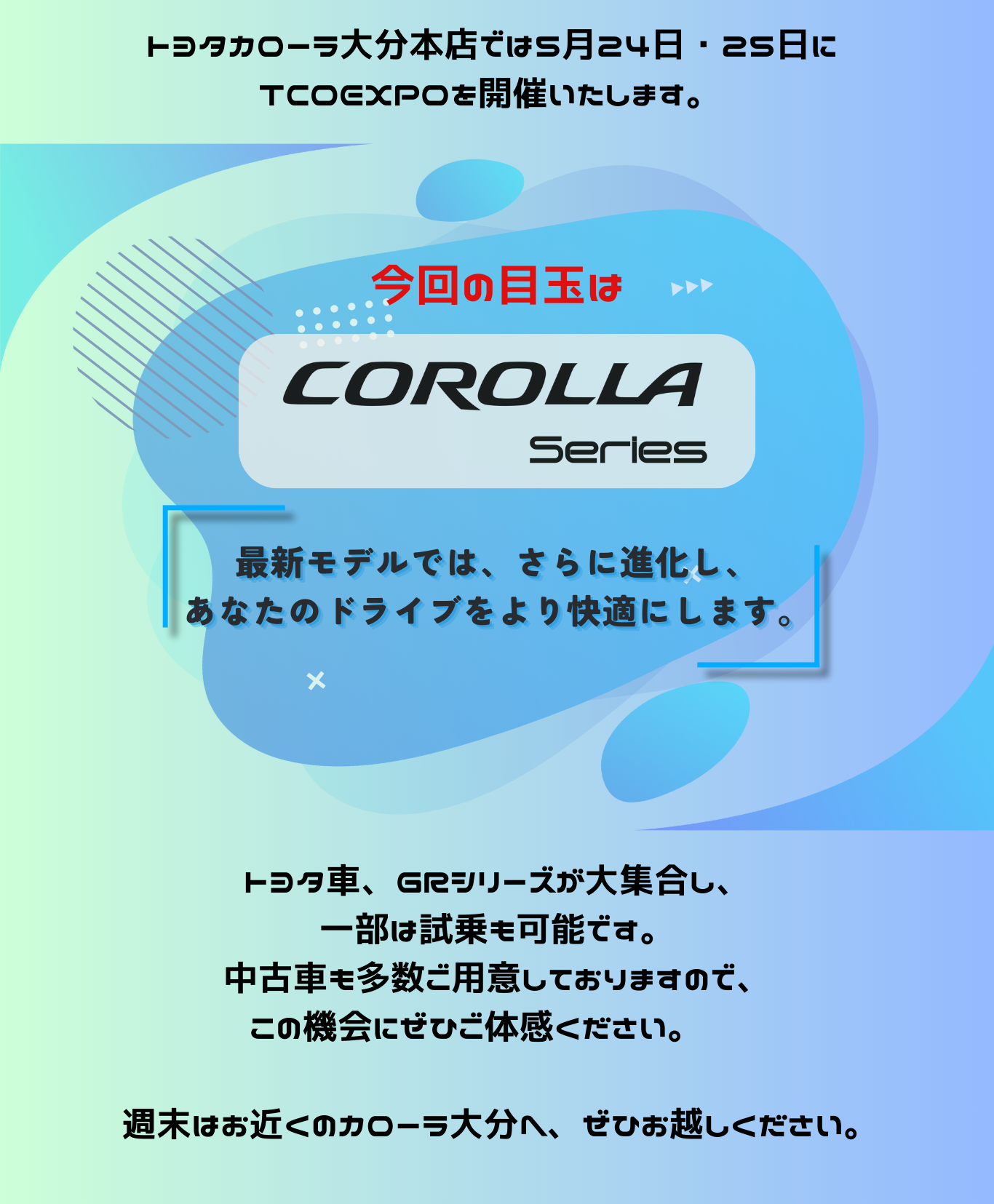 大展示会2